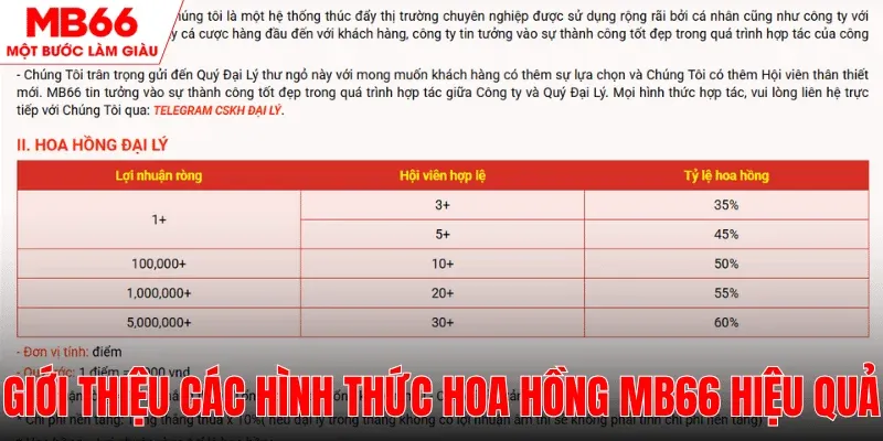 cac-hinh-thuc-hoa-hong-va-co-che-chi-tra