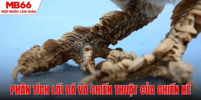 danh-gia-loi-da-chien-thuat-cua-chien-ke