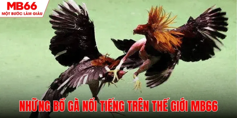 danh-sach-nhung-bo-ga-noi-tieng-the-gioi