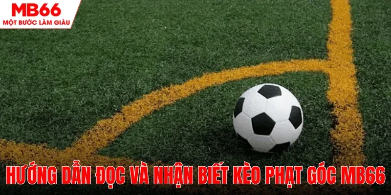 huong-dan-doc-nhan-biet-keo-phat-goc-mb66