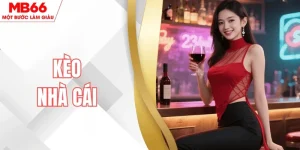 keo-nha-cai-mb66