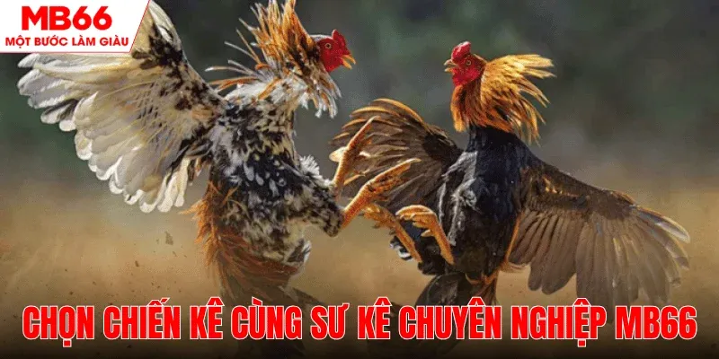 lua-chon-chien-ke-hop-tac-su-ke-gioi