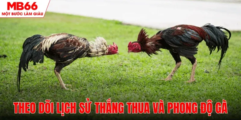 quan-sat-lich-su-thang-thua-phong-do-ga-mb66