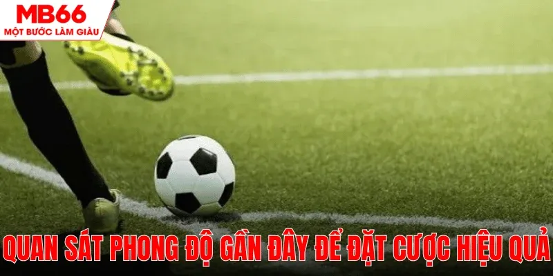 theo-doi-phong-do-gian-day-dat-cuoc