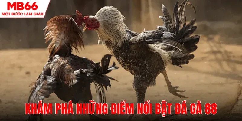 tim-hieu-diem-noi-bat-cua-da-ga-88