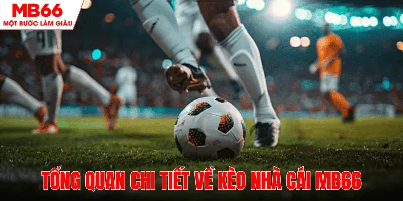 tim-hieu-tong-quan-keo-nha-cai-mb66