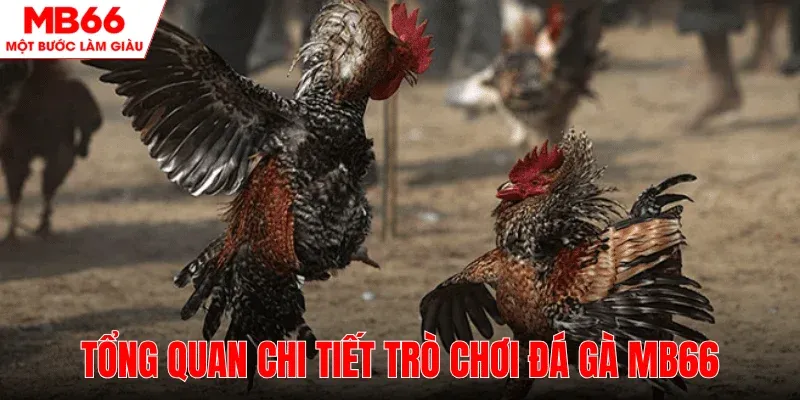 tong-quan-chi-tiet-tro-choi-da-ga-mb66