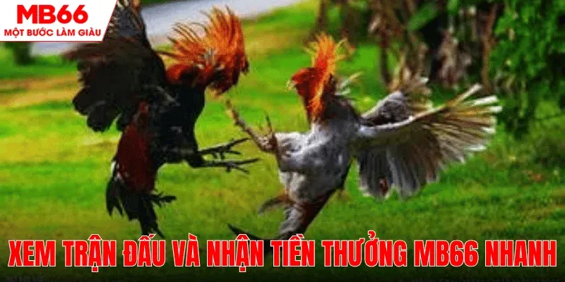 xem-tran-dau-tien-thuong-san-sang-mb66